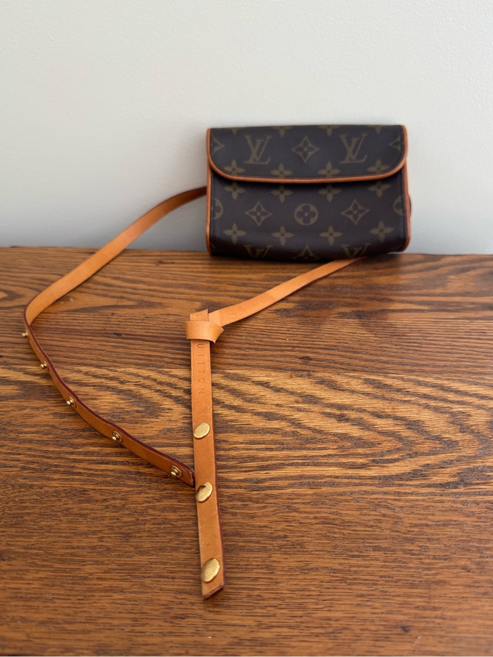 Louis Vuitton Belt Bag & Strap
